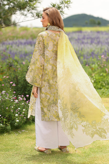 Baroque (4229)