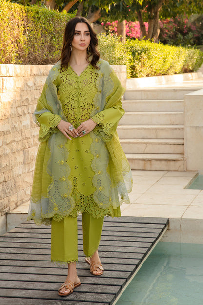 Rang Rasiya (RR-30)